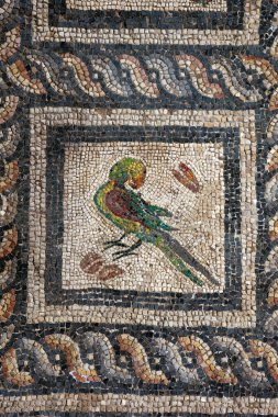 Roma Mozaikleri, İskenderiye 'deki Roma amfitiyatrosunun yakınındaki bir binada.