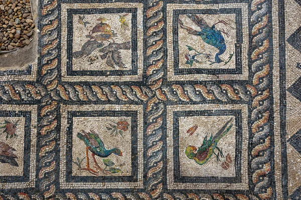Ρωμαϊκά Ψηφιδωτά Στο Πάτωμα Κτίριο Κοντά Στο Ρωμαϊκό Αμφιθέατρο Της Εικόνα Αρχείου