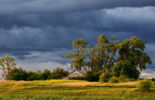 风暴来袭前 乡间风景 房子矗立在高大的杨树之间 图库图片