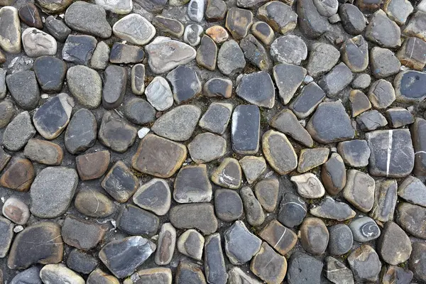 Візерунок Тротуару Зроблений Багатьох Плоских Каменів Ліцензійні Стокові Зображення