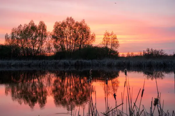 赤と青の空の美しい夕暮れは 前景に覆われた湖の水面に反射しました ロイヤリティフリーのストック写真