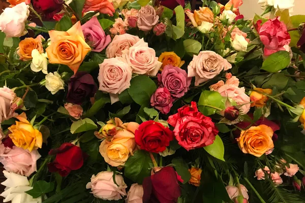 Roses Colorées Dans Cercueil Pulvérisé Sur Cercueil Lors Enterrement Photo De Stock