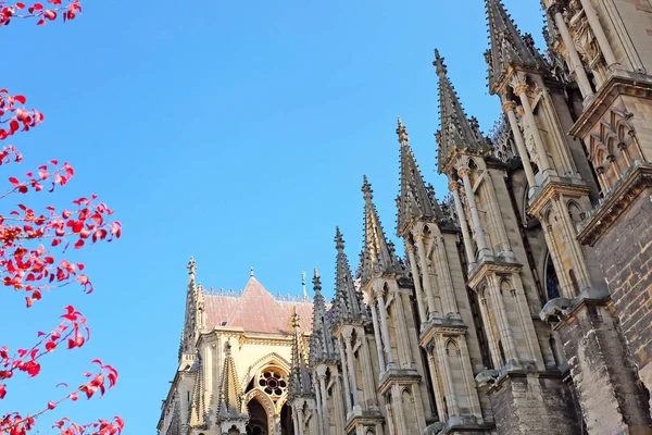 Dettaglio Della Cattedrale Gotica Reims Notre Dame Con Foglie Rosse — Foto Stock