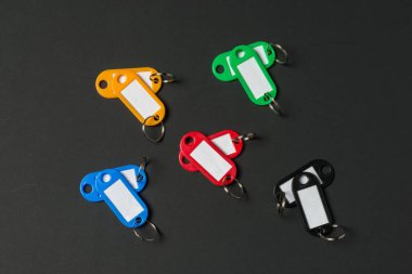 Farklı renklerde beş canlı anahtar etiketi düzgün bir şekilde koyu bir arkaplanda duruyor. Her etiket isim ya da tanımlayıcı yazmak için boş bir etiket alanına sahiptir, işlevselliği oyuncu bir estetik ile birleştirerek.