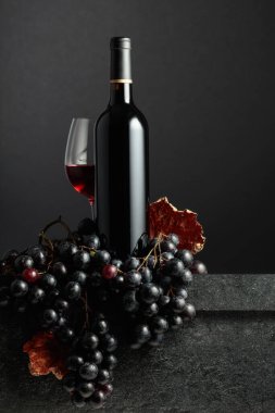 Juicy blue grapes and a bottle of red wine on a black background.