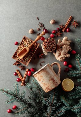 Kış ve Yeni Yıl teması. Sıcak kış içecekleri hazırlamak için gereken malzemeler ve baharatlar. Üst görünüm.