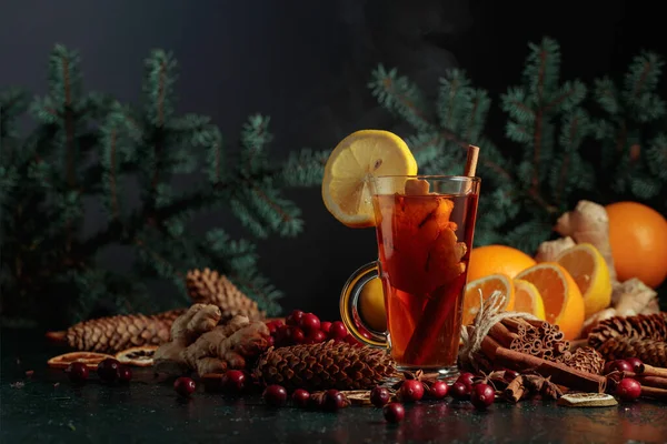 Bebida Quente Natal Com Especiarias Gengibre Cranberries Citrinos — Fotografia de Stock