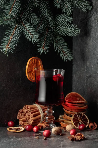Гарячий Різдвяний Напій Спеціями Сушеними Цитрусами Журавлиною — стокове фото