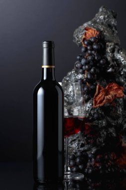 Bottle of red wine. In the background rough grey stone and blue grapes. 