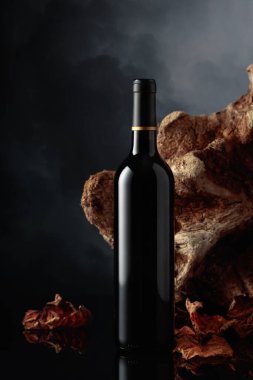 Bir şişe kırmızı şarap. Arka planda eski dallar, kurumuş asma yaprakları ve karanlık bulutlu bir gökyüzü. Metnin için alanı olan ön görünüm.