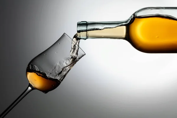 Digestive Tulip Premium Alcohol Drink Poured Bottle Glass Copy Space — ストック写真