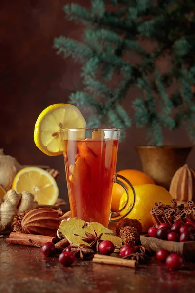 Bebida Caliente Navidad Con Especias Jengibre Arándanos Cítricos — Foto de Stock