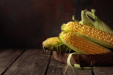 Fresh corn on cobs on a rustic wooden table. Copy space.