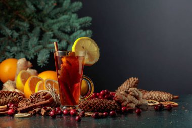 Baharatlı, zencefilli, kızılcıklı ve narencili sıcak Noel içeceği. Boşluğu kopyala.