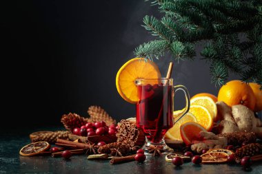 Baharatlı, zencefilli, kızılcıklı ve narencili sıcak Noel içeceği. Boşluğu kopyala.