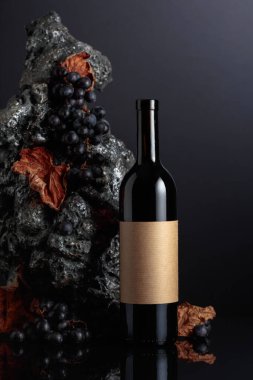 Bottle of red wine with empty label. In the background rough grey stone and blue grapes. 