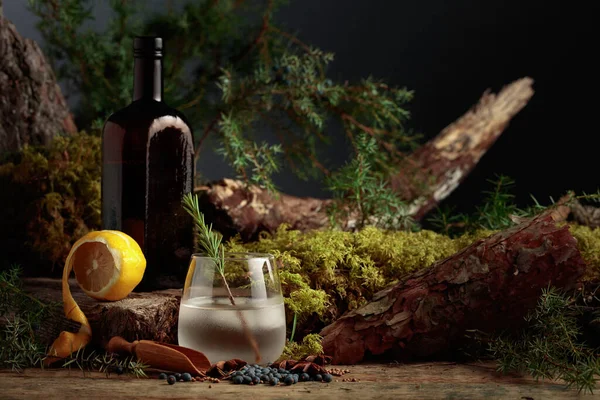Gin Tonic Cocktail Mit Eis Zitrone Und Einem Zweig Rosmarin — Stockfoto