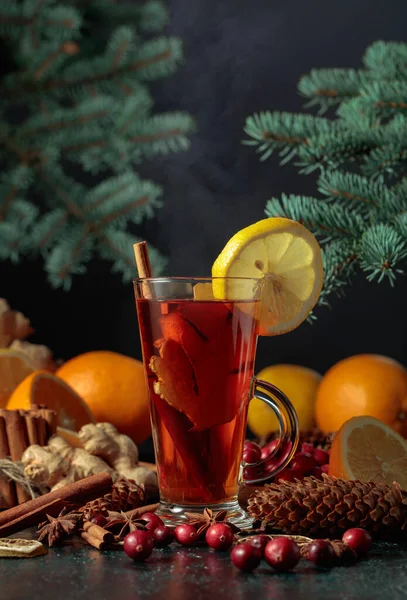 Hot Christmas Drink Spices Ginger Cranberries Citrus — Stock Photo, Image