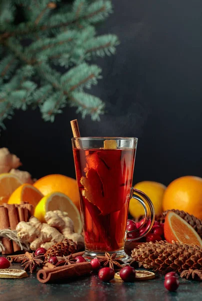 Bebida Quente Natal Com Especiarias Gengibre Cranberries Citrinos Espaço Cópia — Fotografia de Stock