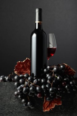 Juicy blue grapes and a bottle of red wine on a black background.