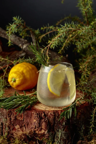 Gin Tonic Cocktail Lemon Rosemary Cold Iced Refreshing Drink Frozen — Foto Stock