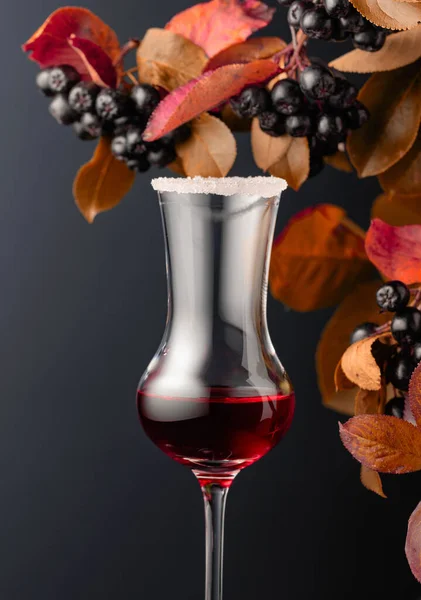 Black Chokeberry Aronia Melanocarpa Juice Syrup Fresh Berries Leaves Dark — Stock Photo, Image