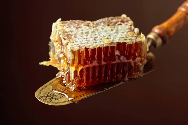 Close Honeycombs Antique Brass Spatula — Zdjęcie stockowe
