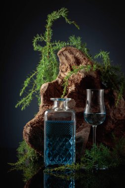 Blue gin on a black background. Juniper branches and old driftwood are in the background.