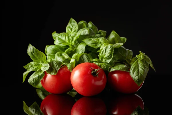 Friske Tomater Grøn Basilikum Sort Baggrund - Stock-foto
