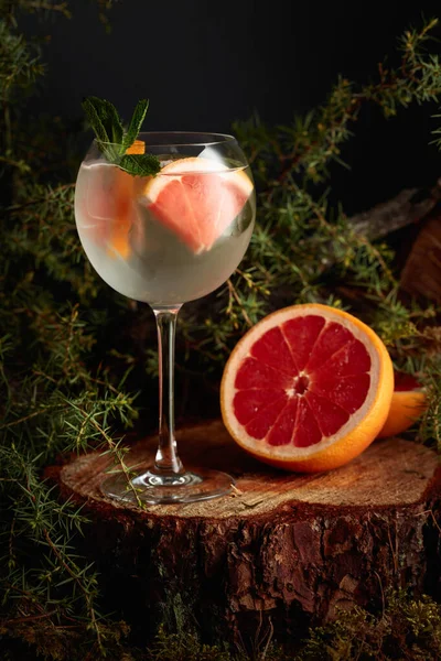 杜松子酒 柚子酒 薄荷酒 一杯冰镇清凉的饮料 放在一个长满青苔和杜松枝条的老树桩上 — 图库照片