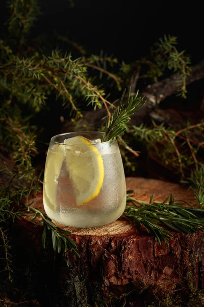 Gin Och Tonisk Cocktail Med Citron Och Rosmarin Iskall Uppfriskande — Stockfoto