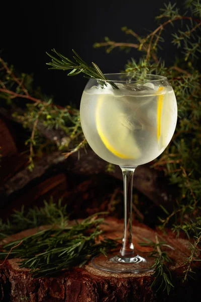 Gin Tonic Cocktail Met Citroen Rozemarijn Een Ijskoud Verfrissend Drankje — Stockfoto