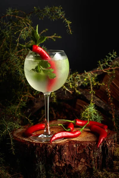 Cóctel Ginebra Tónico Con Pimiento Rojo Cilantro Una Bebida Refrescante —  Fotos de Stock