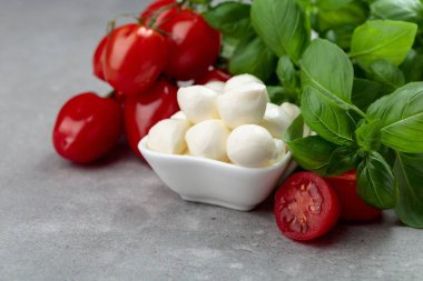 Eski bir taş masada fesleğen ve domatesli Mozzarella peyniri. Geleneksel İtalyan atıştırması.