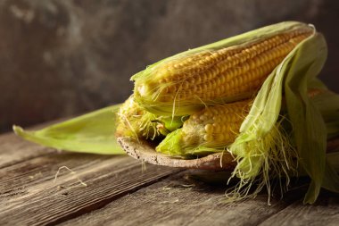 Fresh corn on cobs on a rustic wooden table.