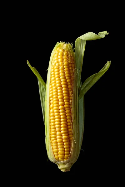 Świeża Kukurydza Kolbie Wyizolowana Czarnym Tle — Zdjęcie stockowe