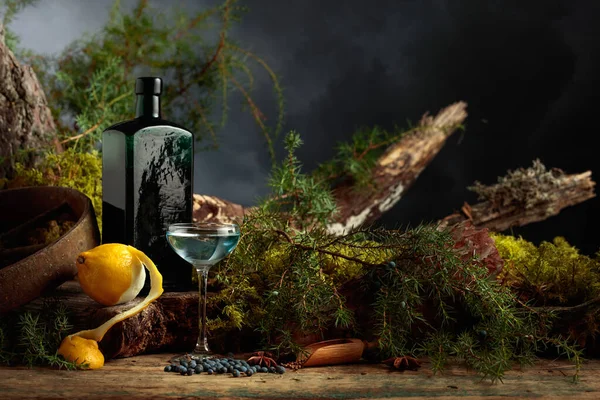 Gin Citron Une Bouteille Antique Verre Vert Foncé Les Graines — Photo