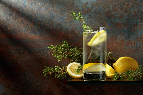 Gin Tonico Con Ghiaccio Limone Rami Ginepro Bevanda Ghiacciata Bicchiere — Foto Stock