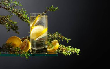 Buz, limon ve ardıç dallı cin ve tonik. Siyah arka planda sisli bardakta buzlu içecek. Boşluğu kopyala. 