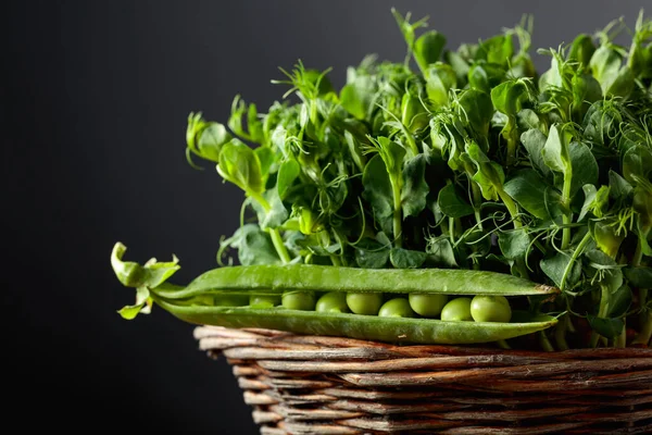 Färska Ärtkapslar Och Mikrogröna Groddar Begreppet Hälsosam Mat — Stockfoto