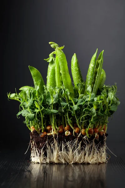 黒い木製のテーブルの上に新鮮なエンドウ豆のポッドとマイクログリーンの芽 健康食品の概念 — ストック写真