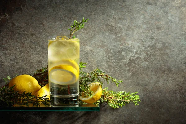 Gin Tonique Avec Des Branches Glace Citron Genièvre Boisson Glacée — Photo