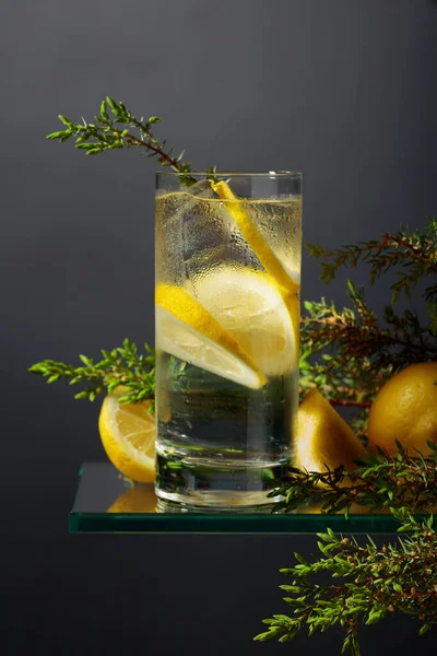 Gin Och Tonic Med Citron Och Enbär Grenar Dryck Ett — Stockfoto