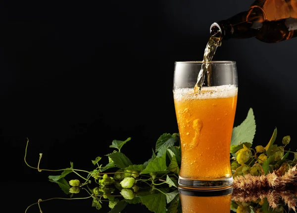 Şişeden Bardağa Bira Dökmek Siyah Yansıtıcı Arka Planda Zıplayan Bir — Stok fotoğraf