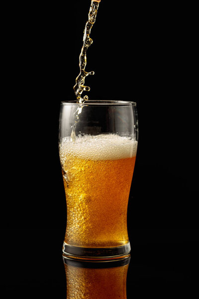 Pouring beer into a glass. Glass of beer on a black reflective background.