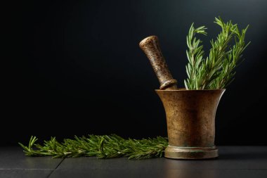 Taze biberiye dallı eski pirinç havan topu. Kopyalama alanı olan siyah arkaplan.