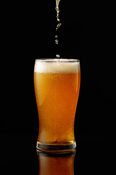 Pouring beer into a glass. Glass of beer on a black reflective background.