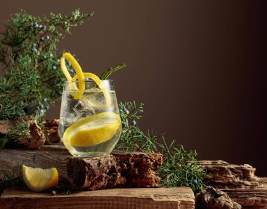 Buzlu, limonlu ve biberiyeli buzlu cin tonik. Ardıç dallarıyla ferahlatıcı bir içecek ve eski bir kalas. Boşluğu kopyala.