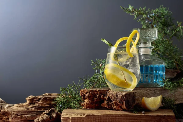 Gin Tonic Cocktail Con Ghiaccio Limone Rosmarino Bicchiere Congelato Una — Foto Stock
