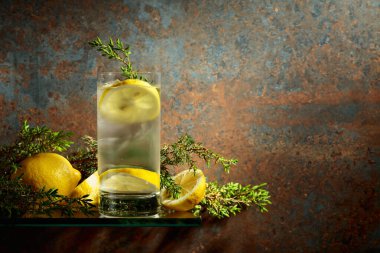 Buz, limon ve ardıç dallı cin ve tonik. Paslı arka planda sisli bardakta buzlu içecek. Boşluğu kopyala. 